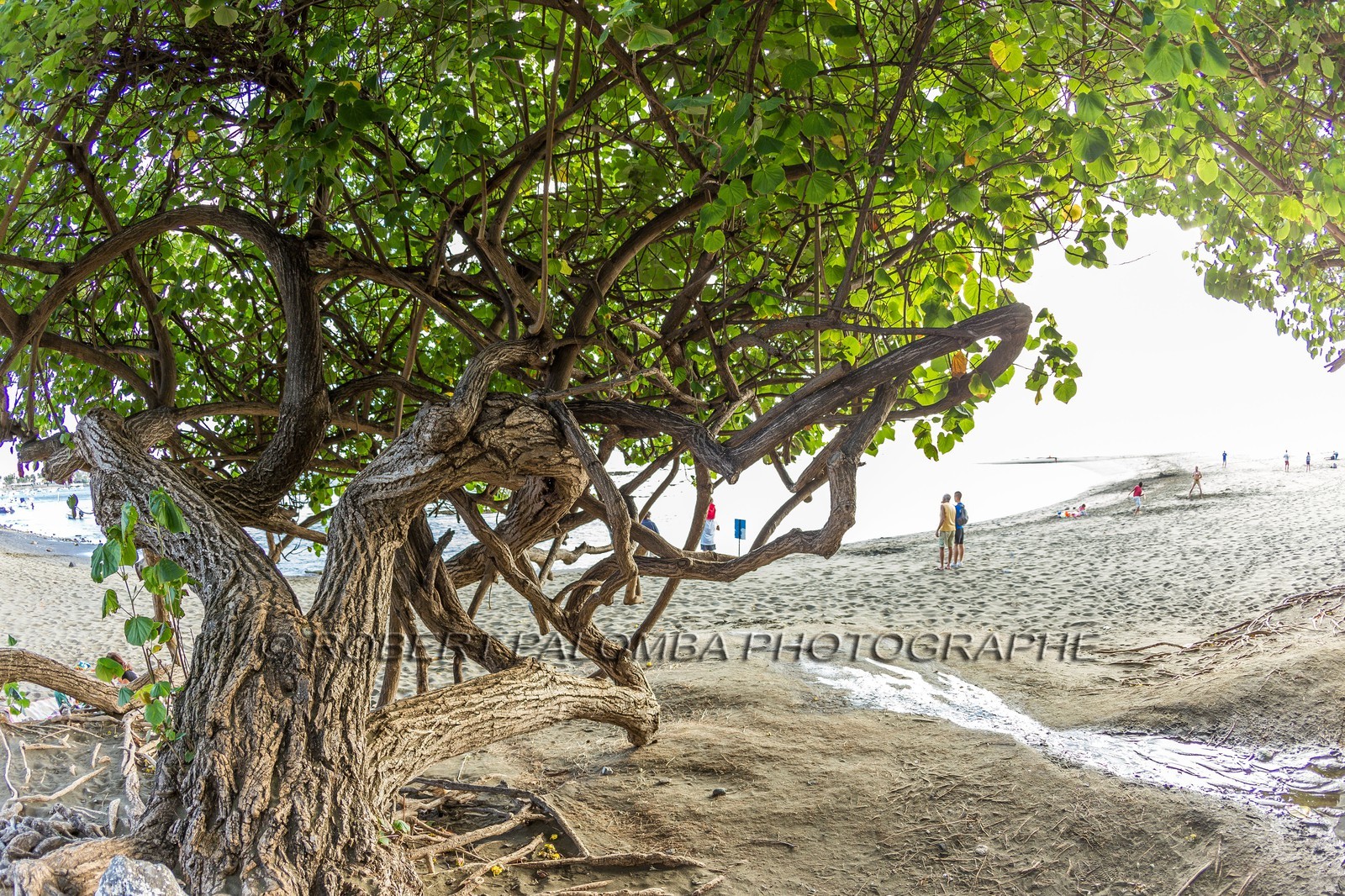 Ile de La Réunion