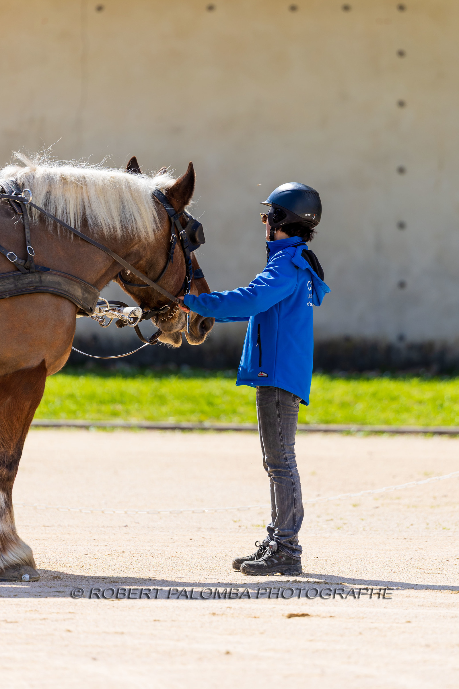 Haras national d'Uzès
