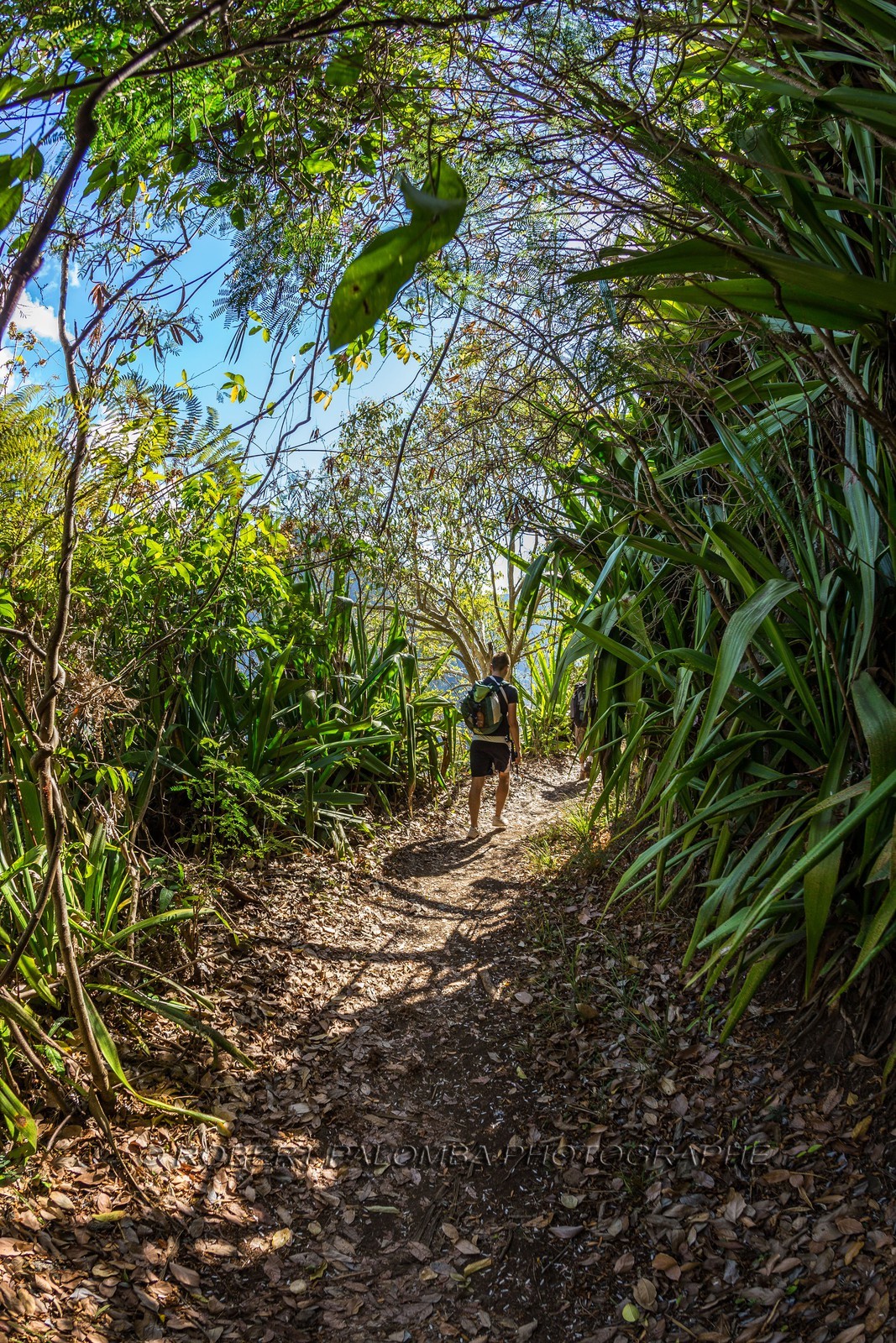 Ile de La Réunion