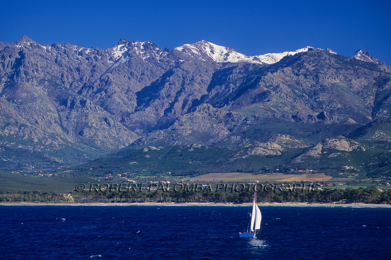 Calvi