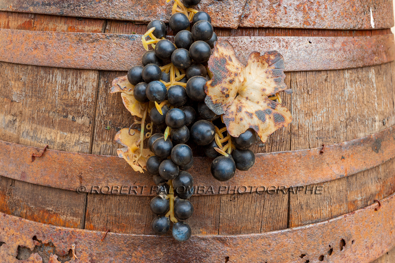 Domaine de Pratavone