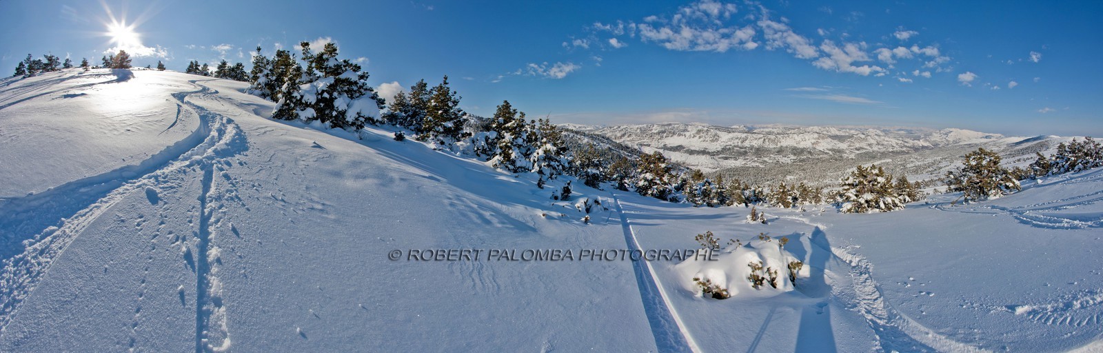 Paysage d'hiver