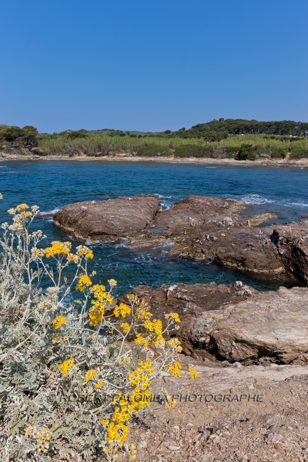 Ile du Grand Gaou