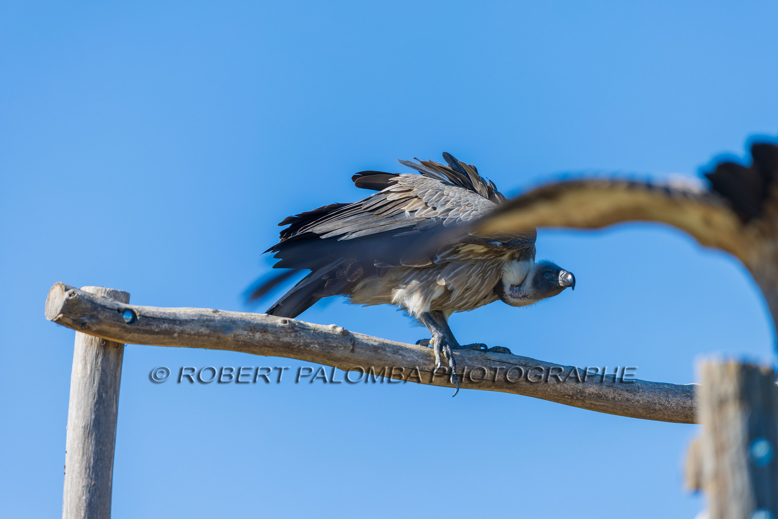 Parc animalier de la Barben