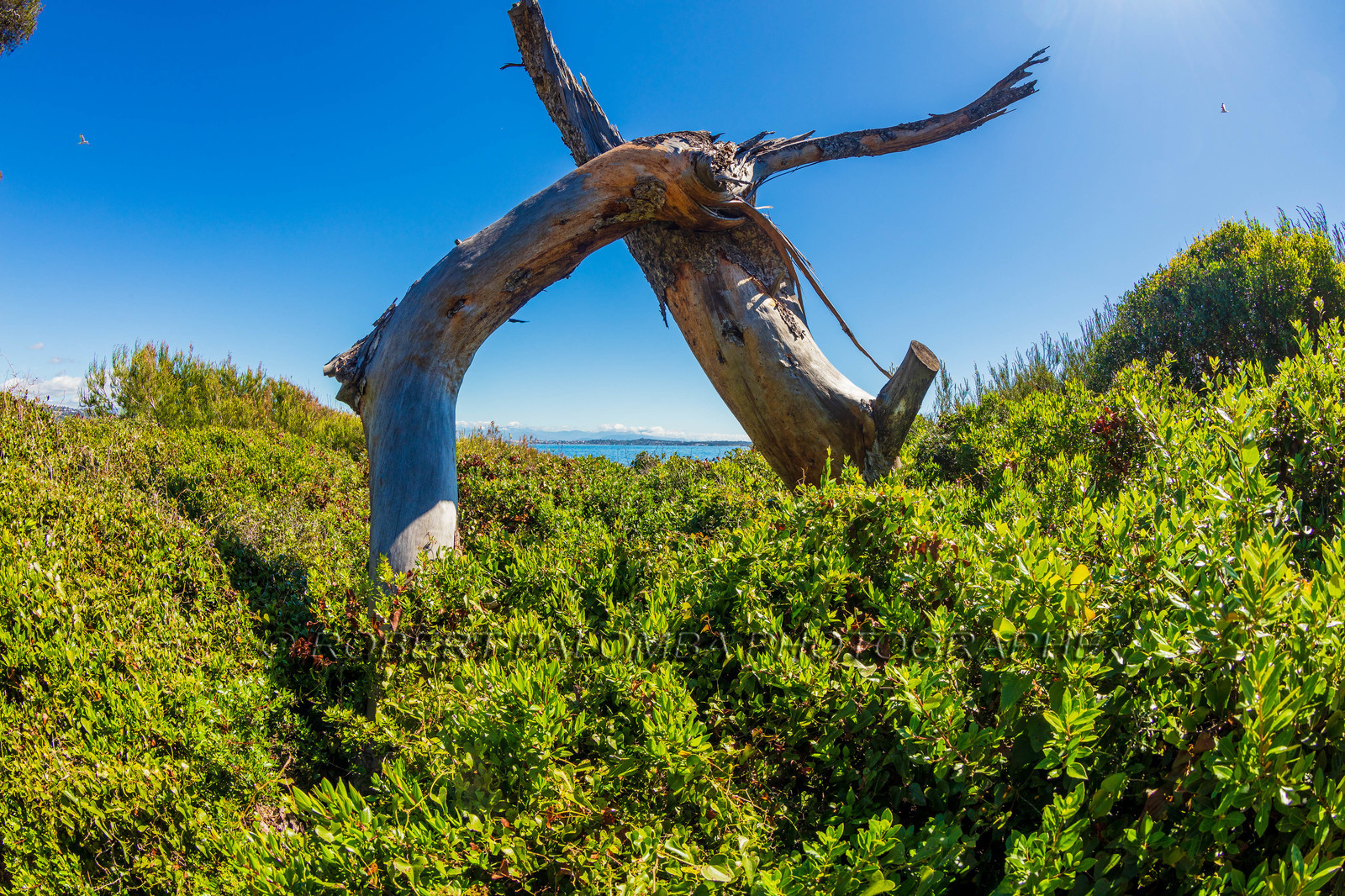 Lérins Sainte-Marguerite
