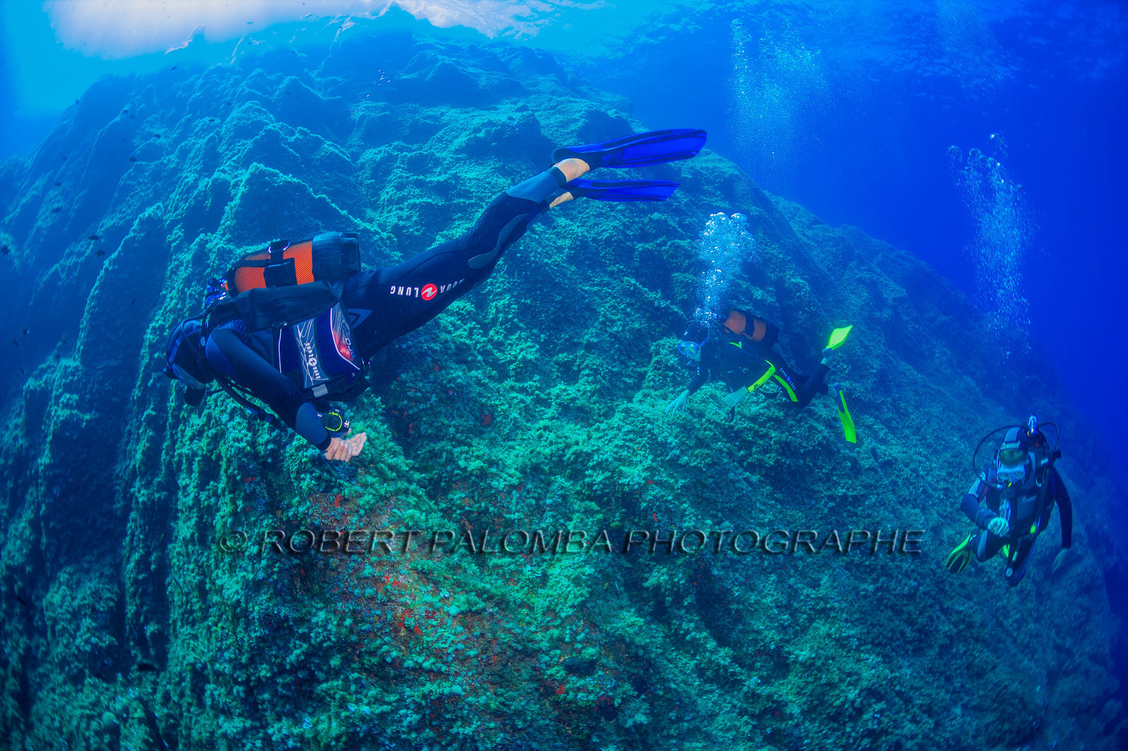 Plongée-sous-marine