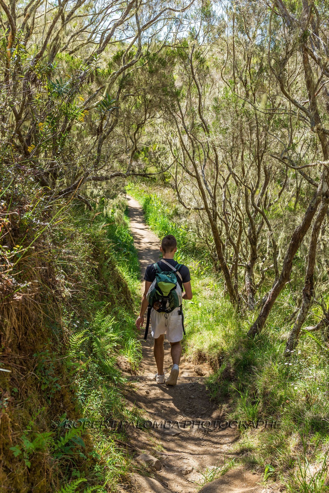 Ile de La Réunion