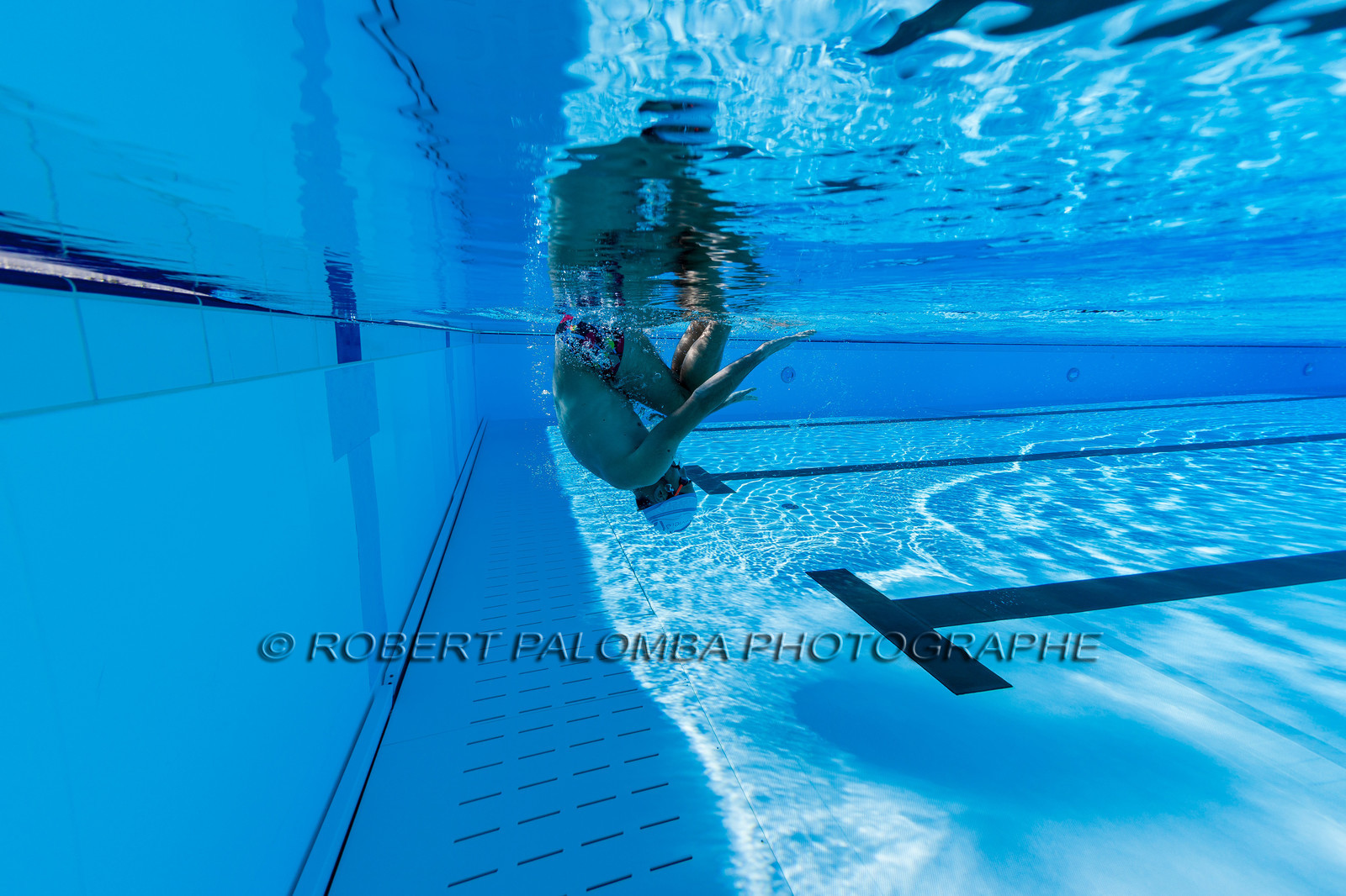 Natation
