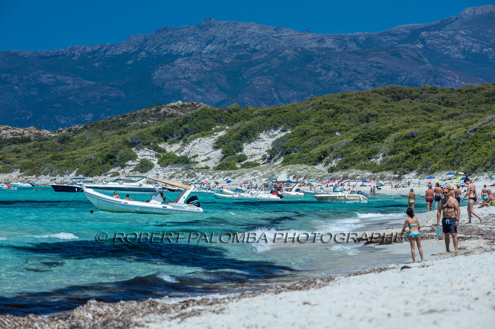 Saleccia