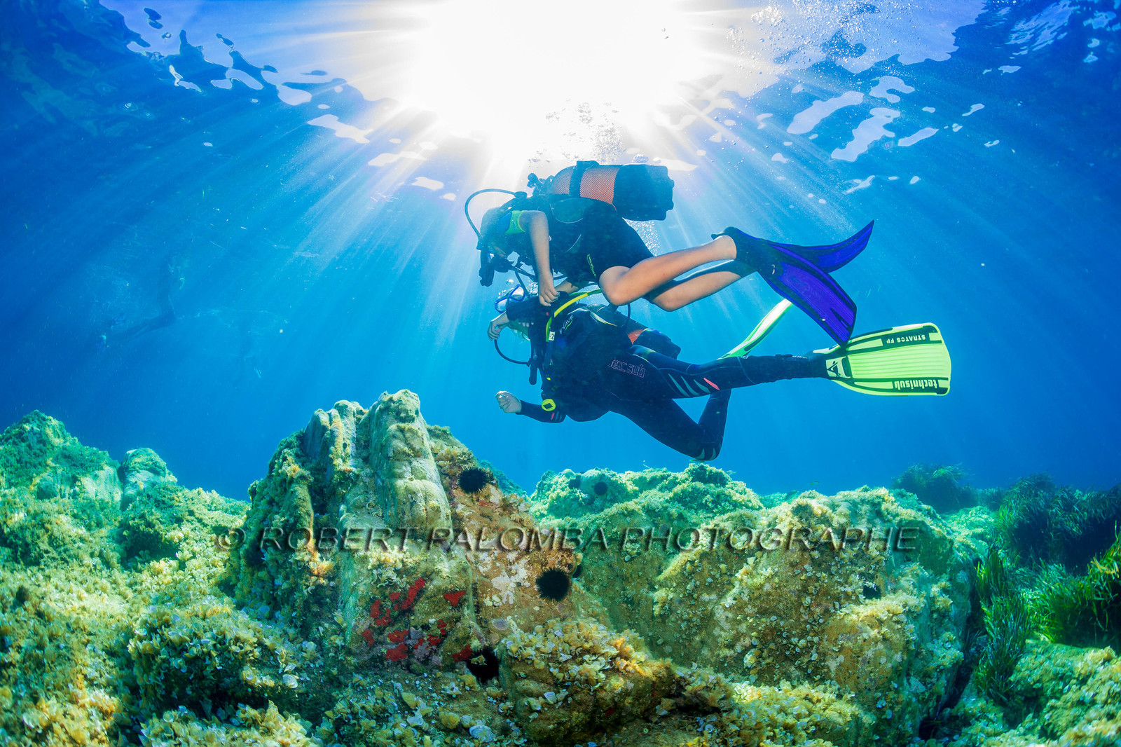 Plongée-sous-marine