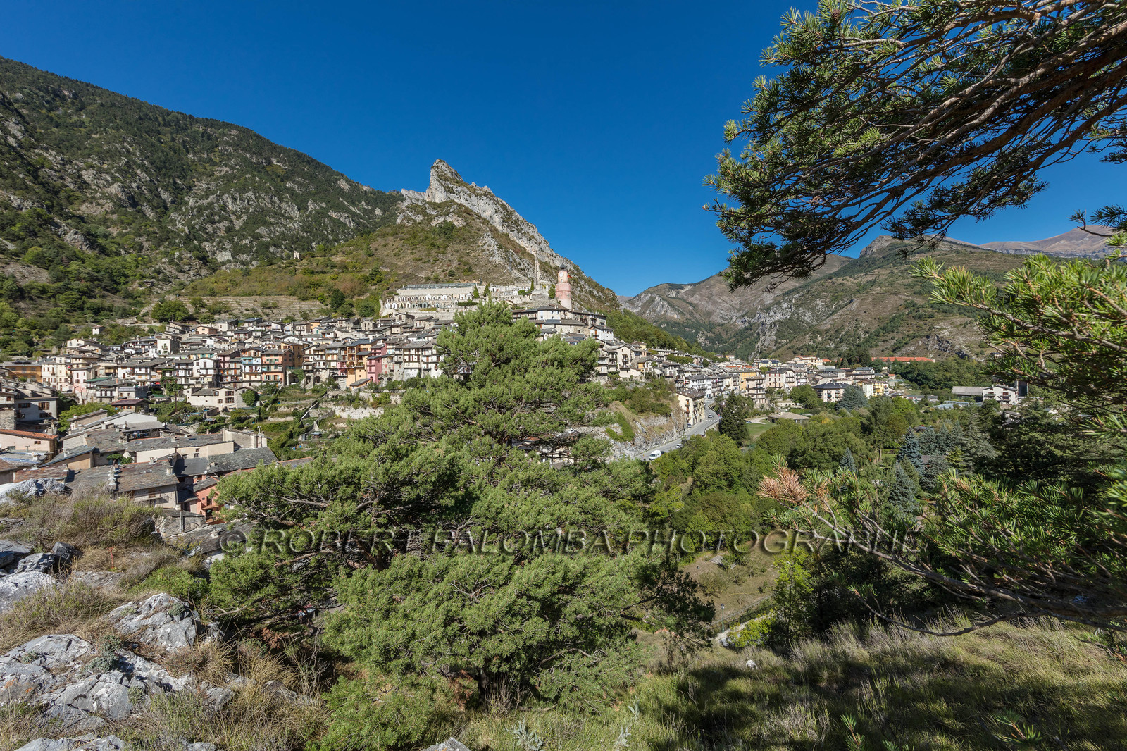 Tende