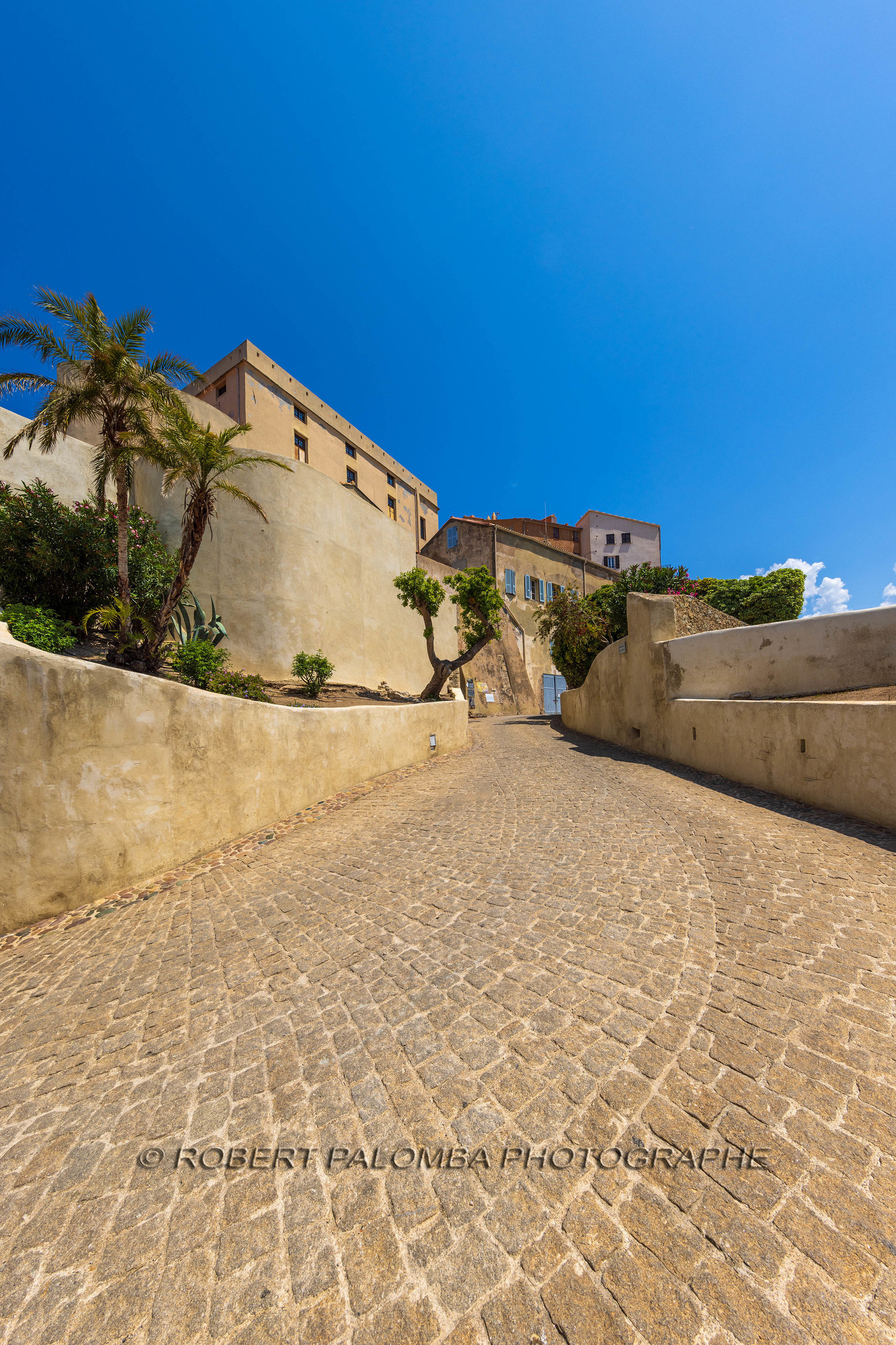 Calvi