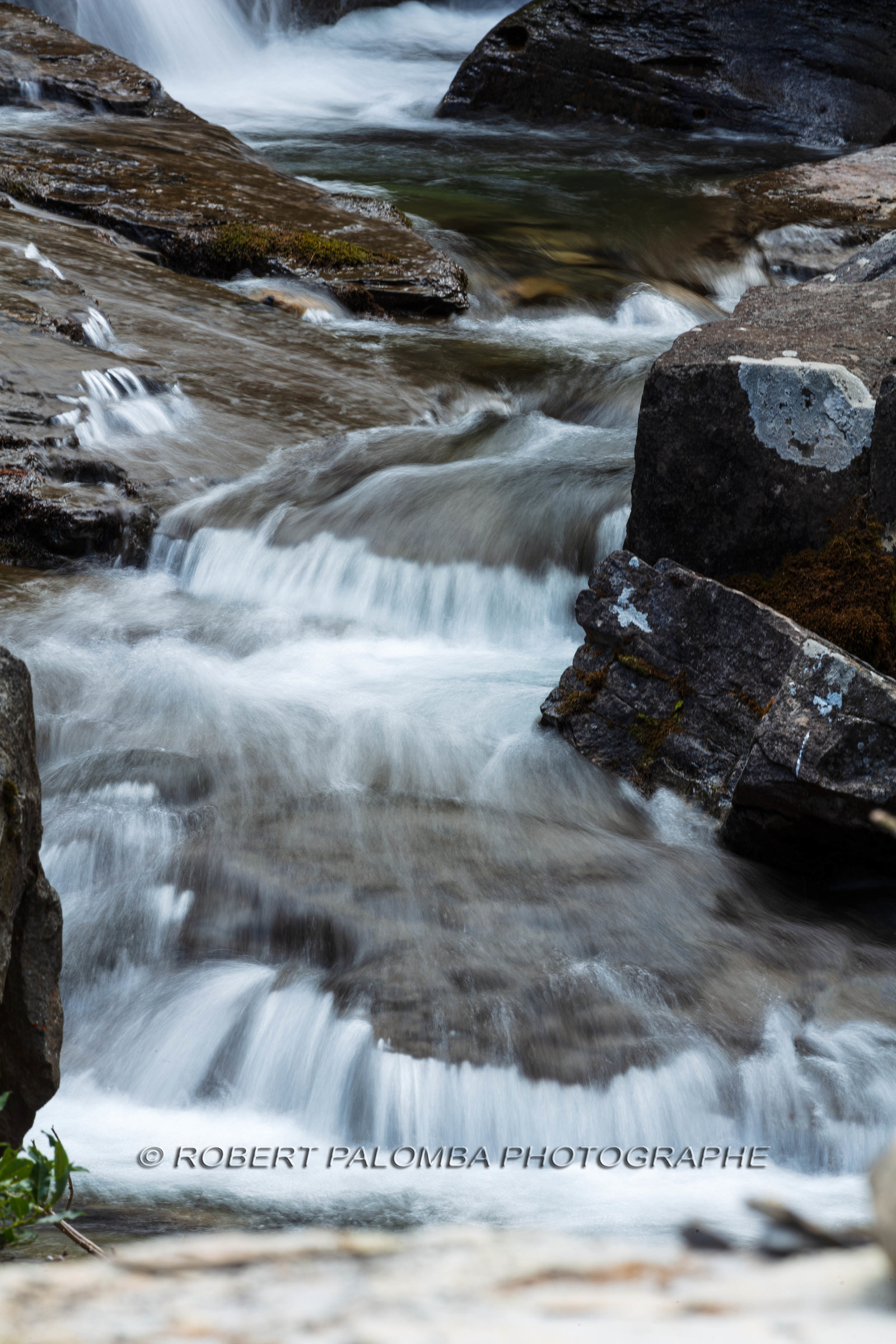 Torrent