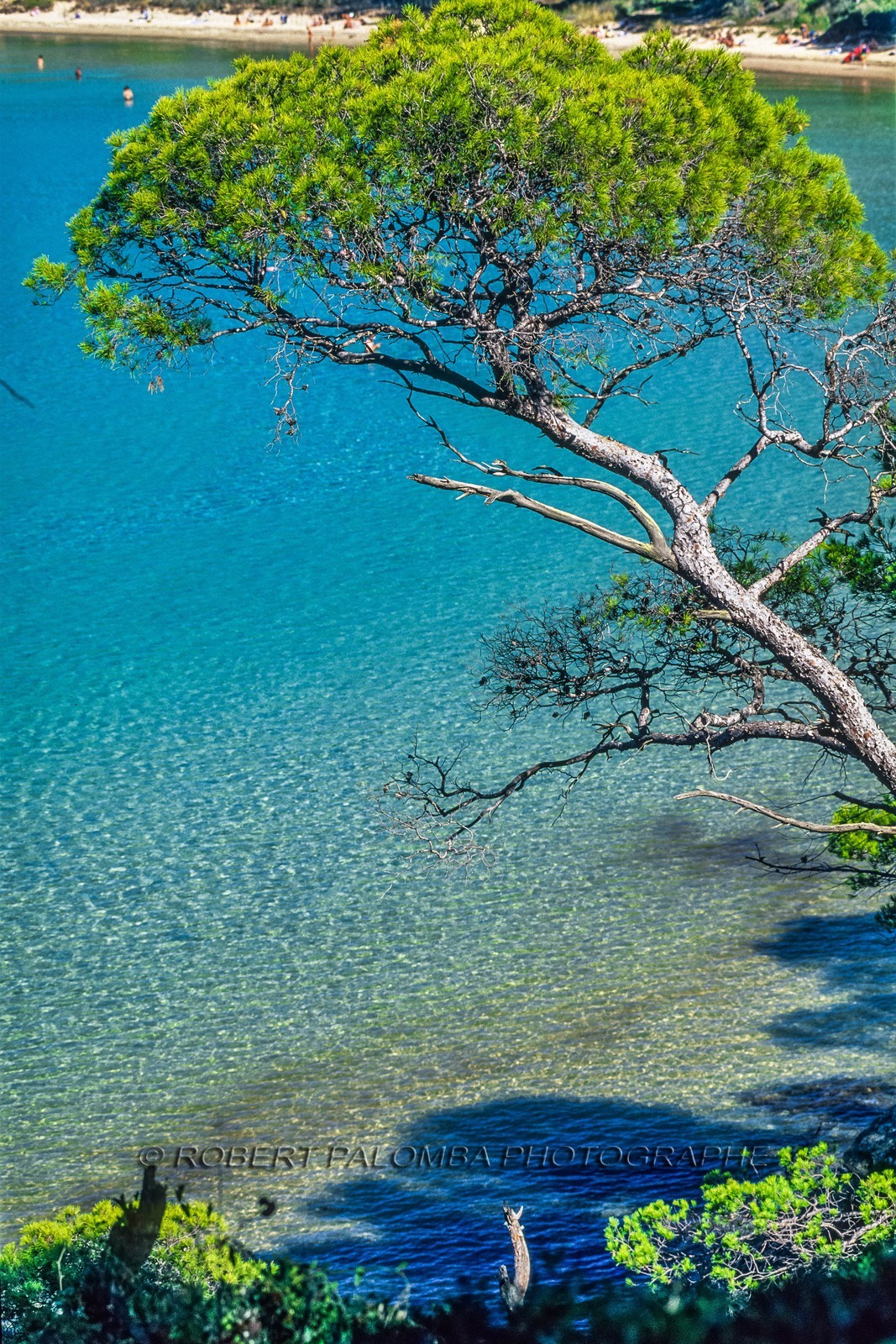 Porquerolles