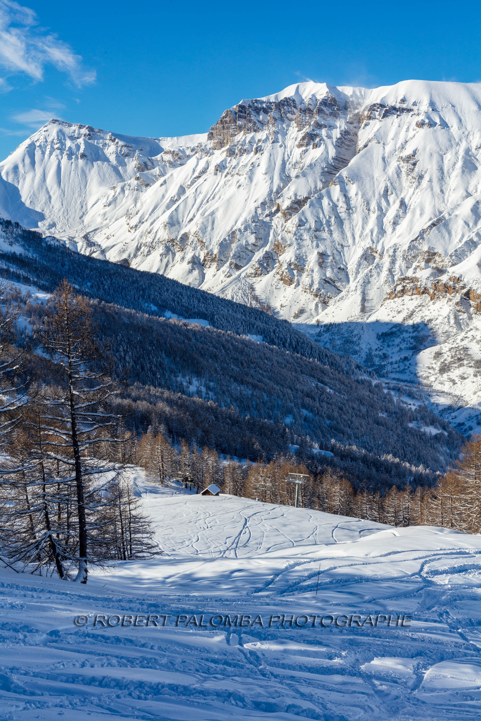 Auron