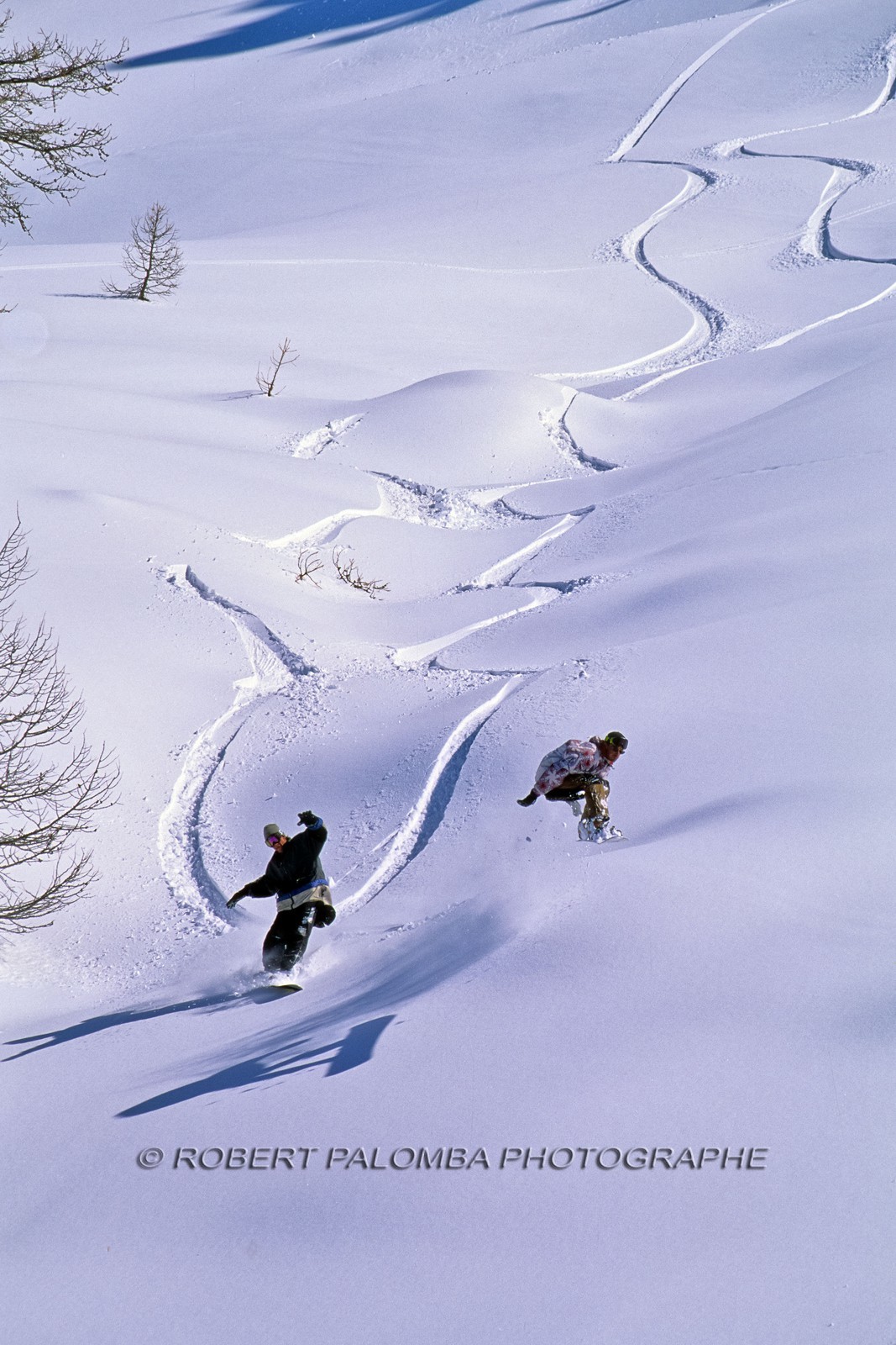 Snowboard