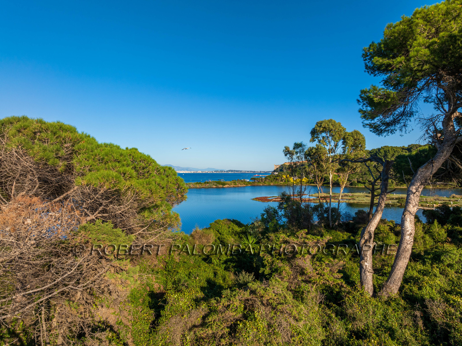 Lérins Sainte Marguerite 2024