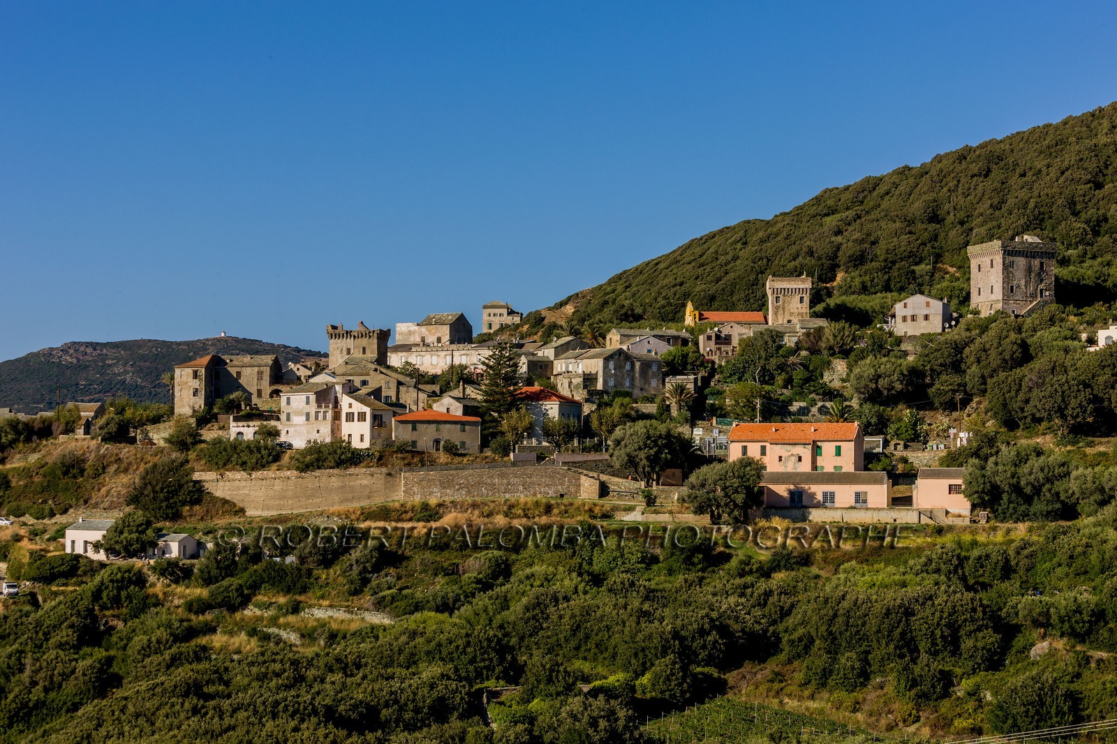 Baragogna