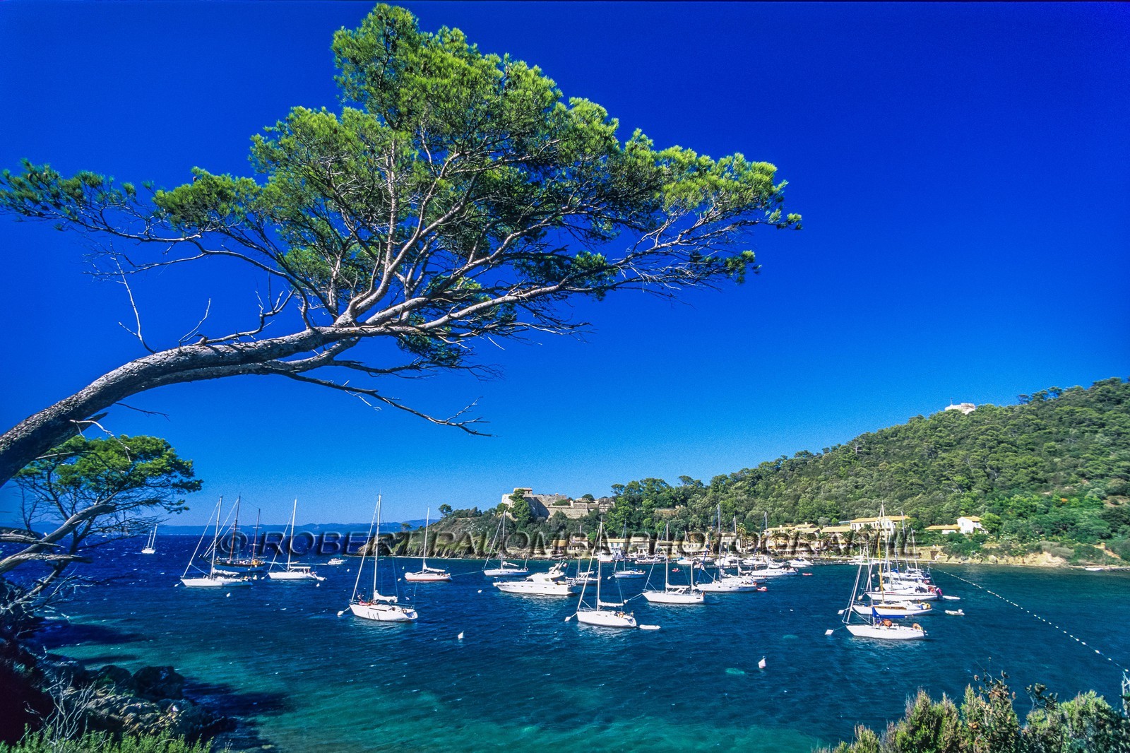Port-Cros