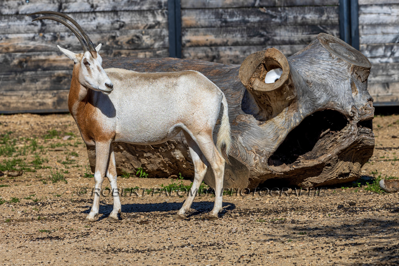 Parc animalier de la Barben