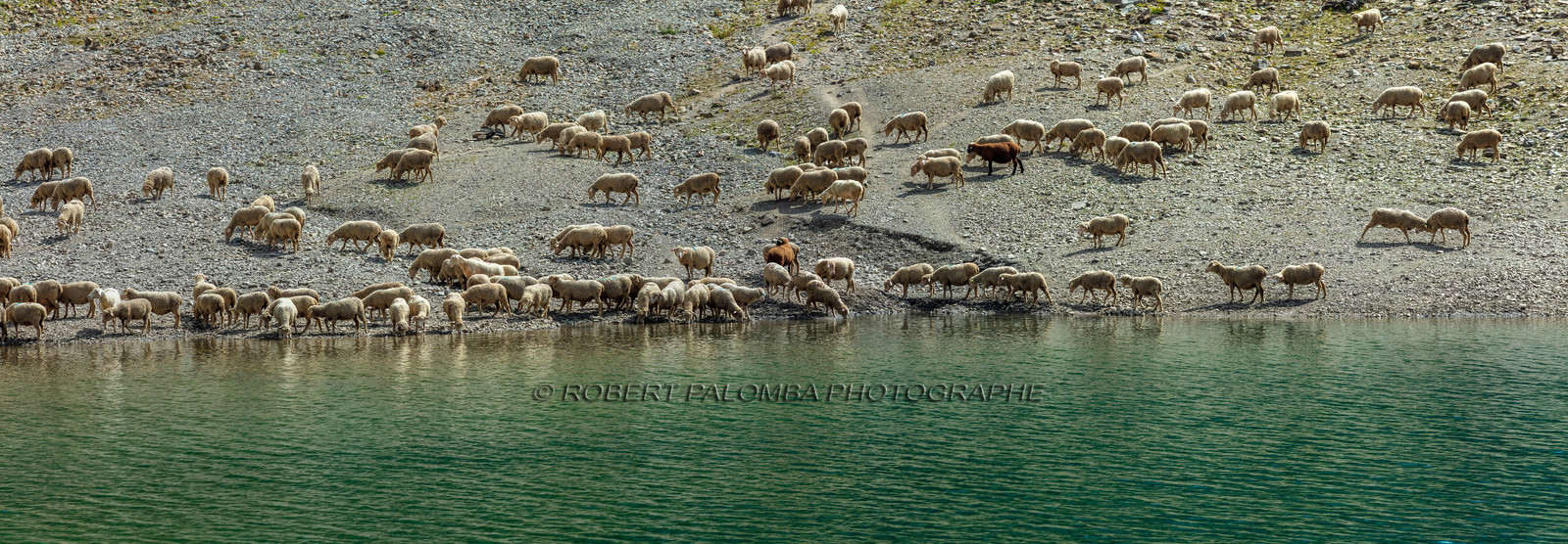 Lac d'Allos