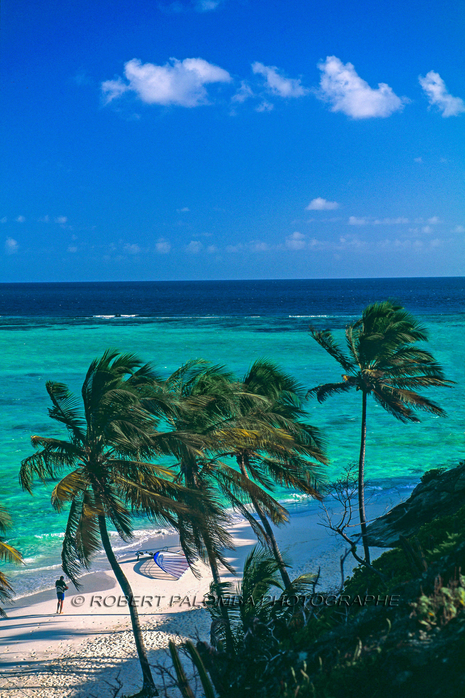 Tobago Cays