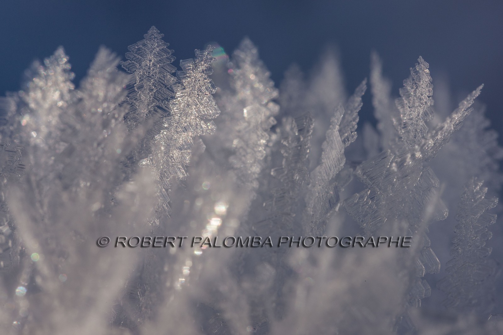 Cristaux de neige