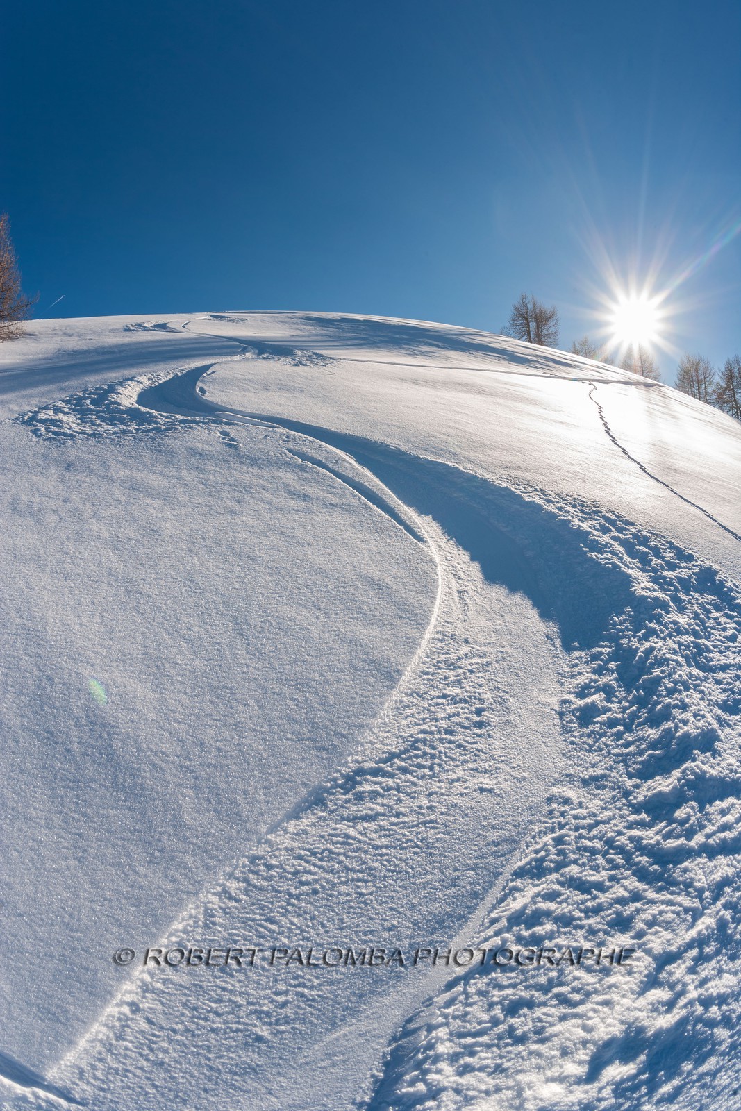 Auron
