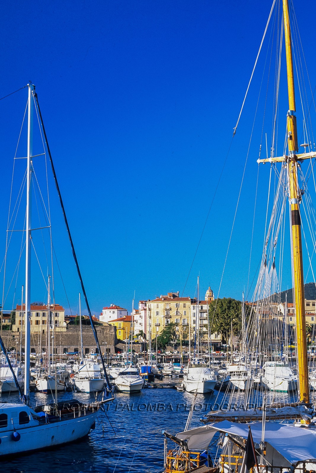 e mail robert.palomba@wanadoo.fr