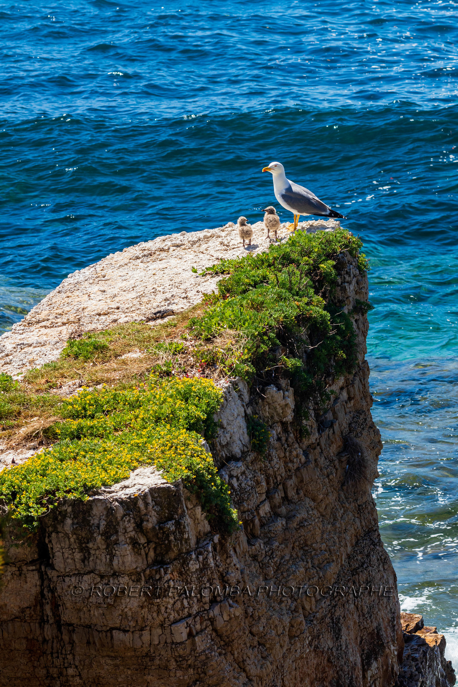 Lérins Sainte-Marguerite