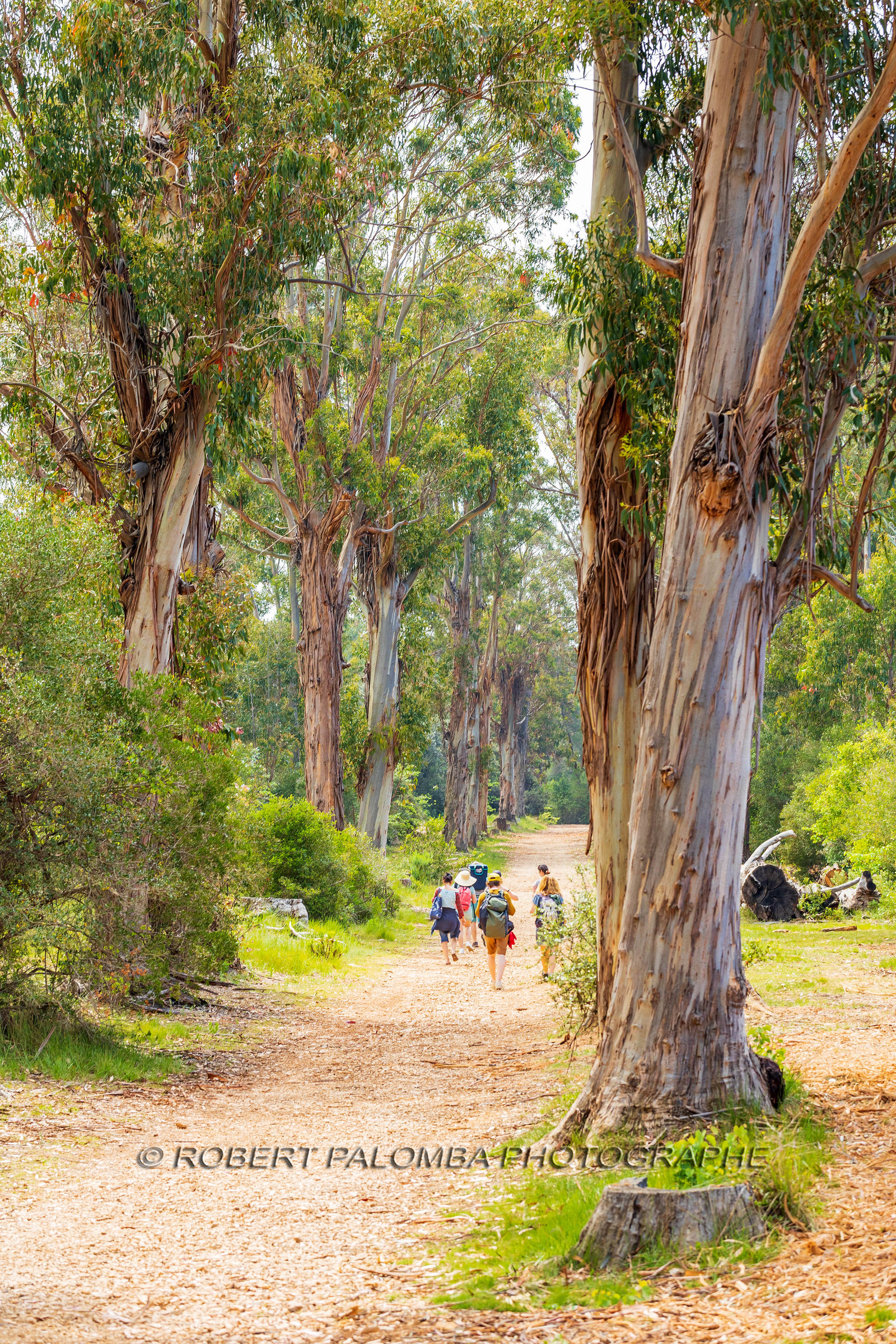 Lérins Sainte-Marguerite