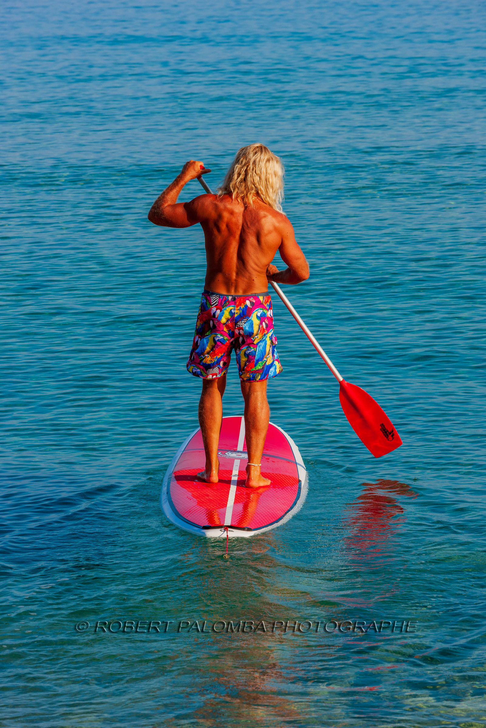 Planche à voile