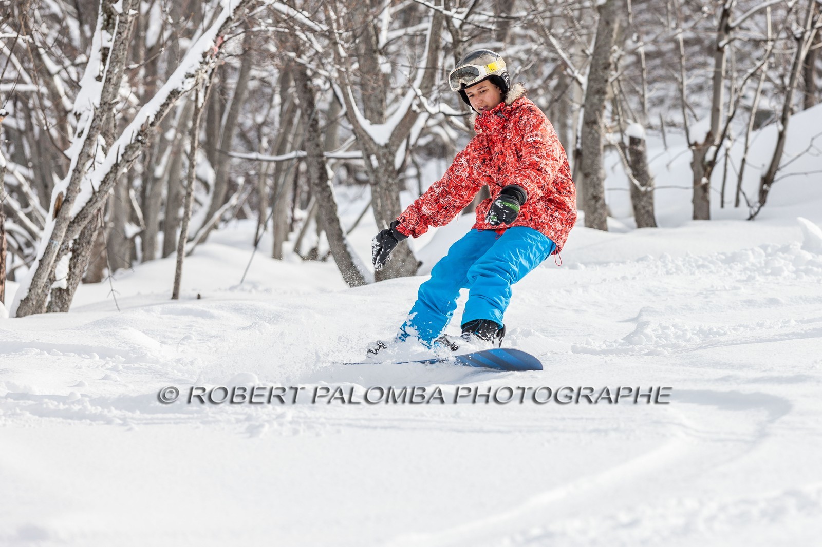 Snowboard