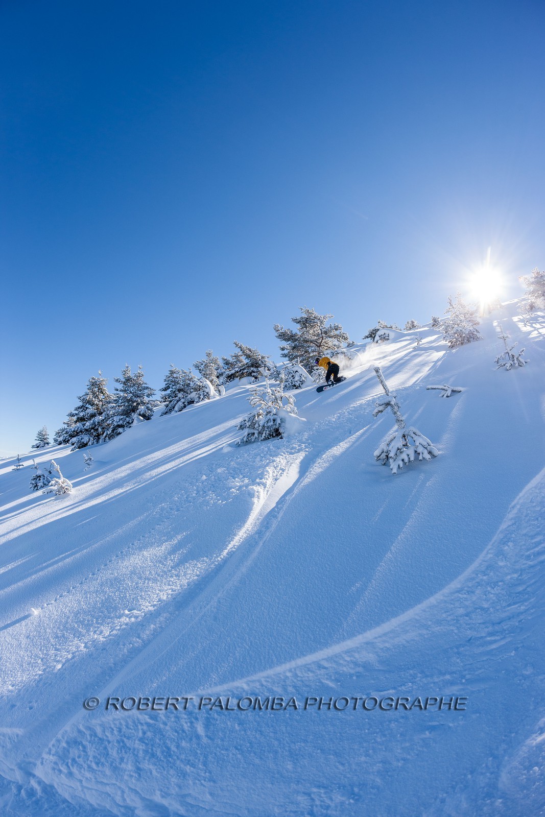Snowboard