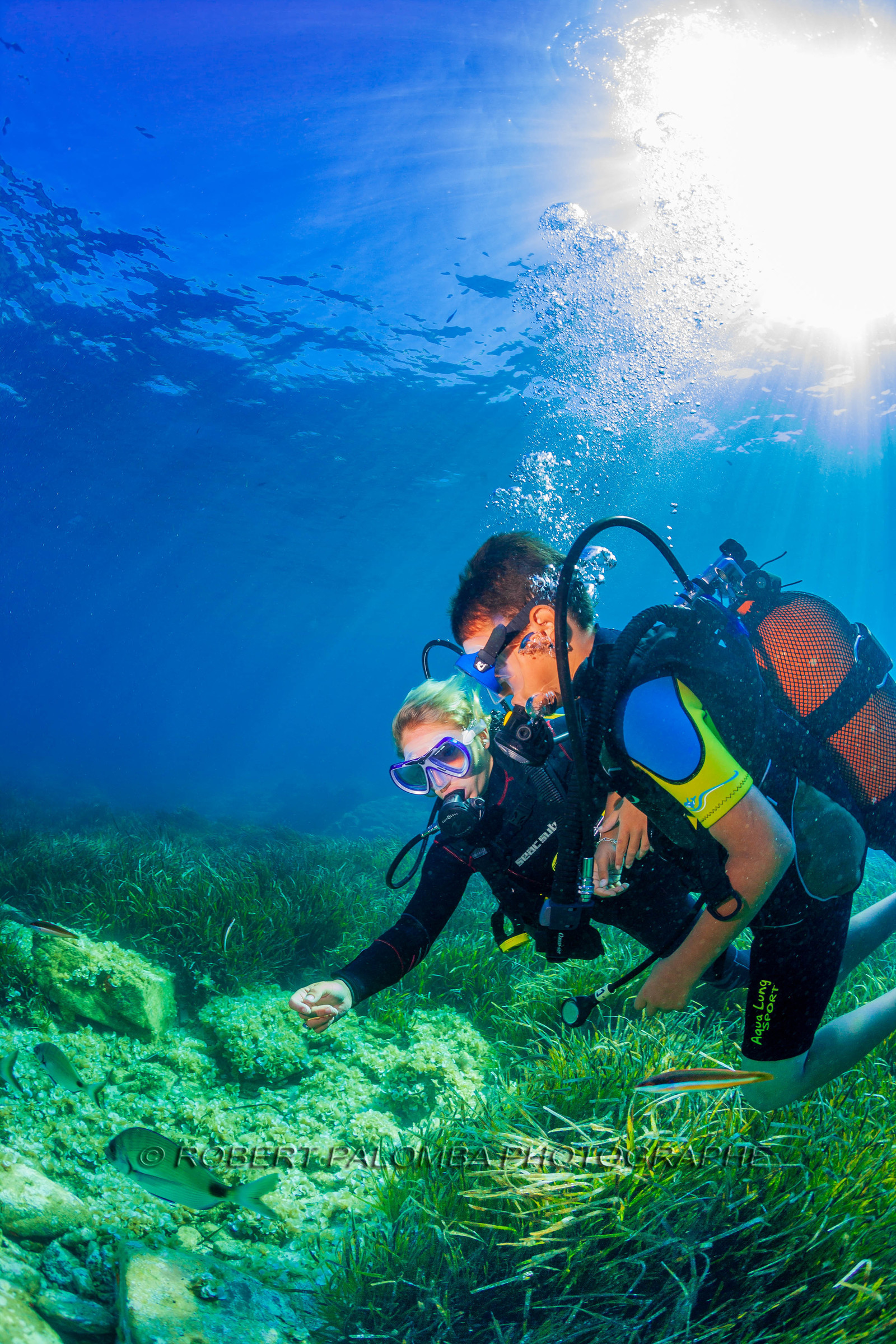 Plongée-sous-marine