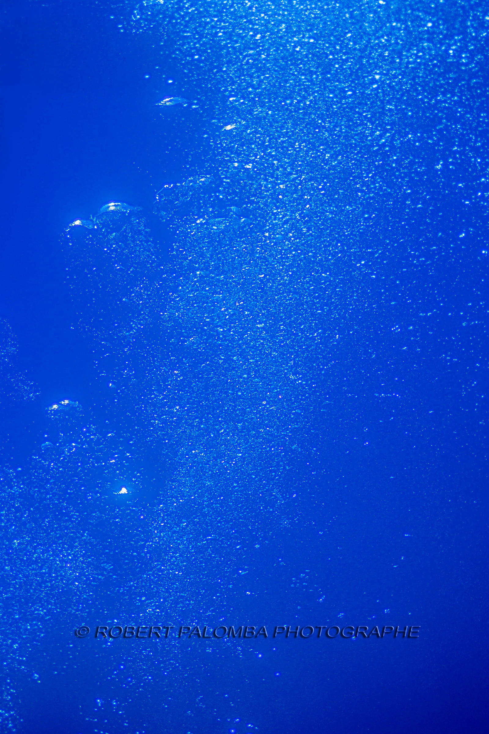 Plongée-sous-marine