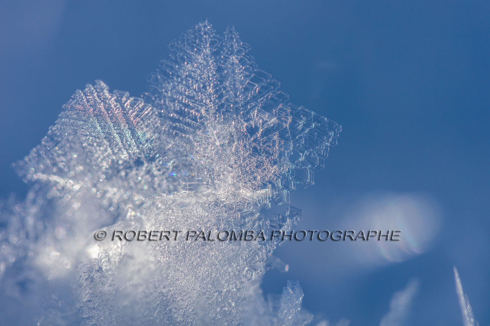 Cristaux de neige