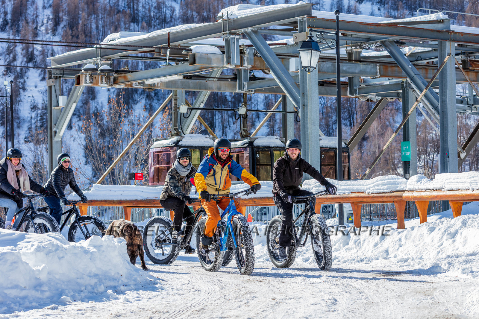 Fat Bike