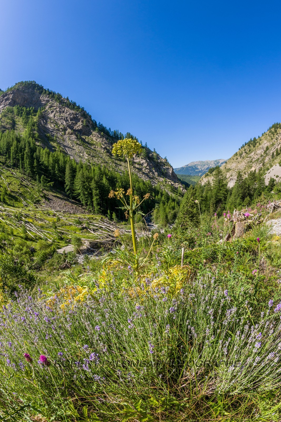 Cascade du Pich
