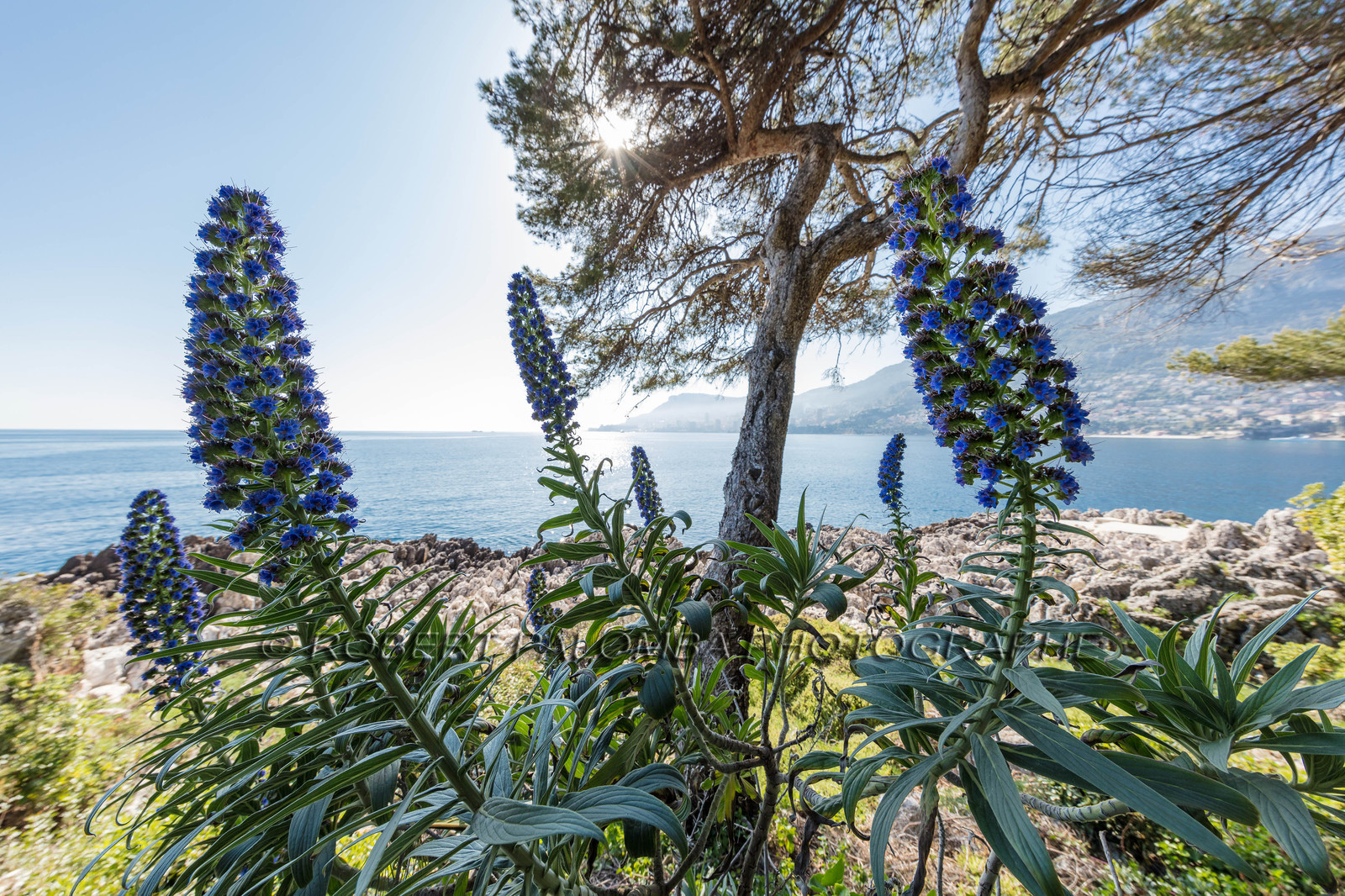 Roquebrune-Cap-Martin