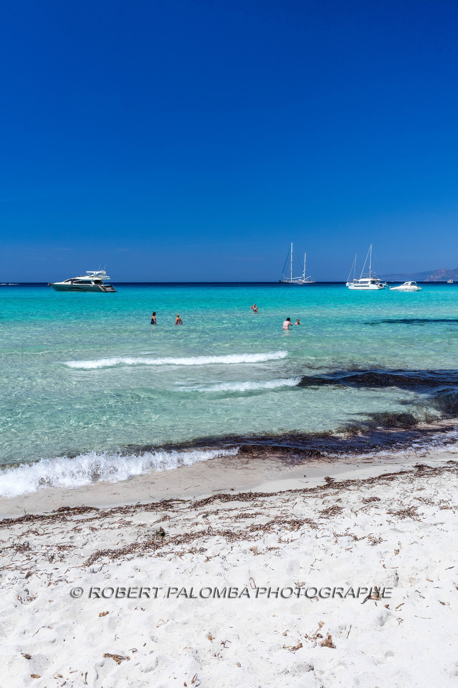 Saleccia