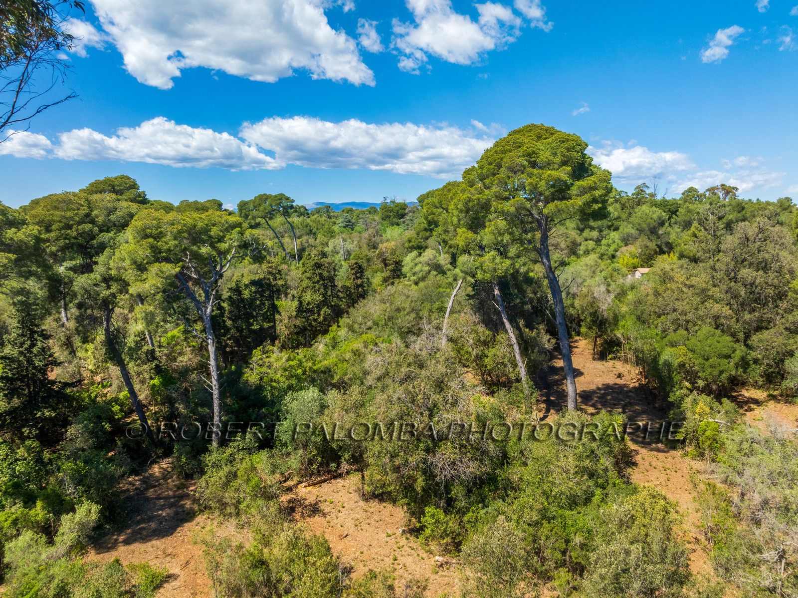 Lérins Sainte-Marguerite 2024