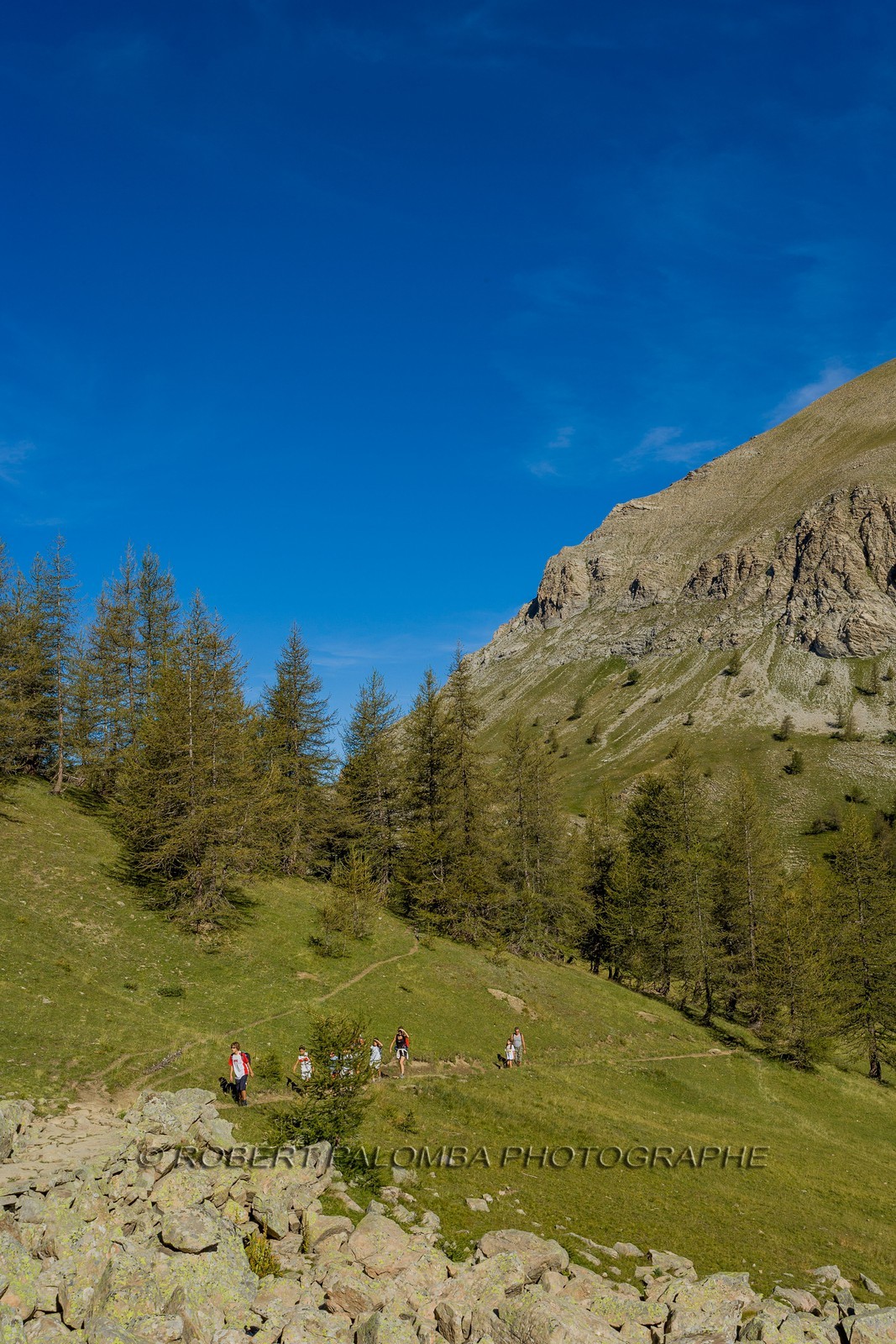 Col de la Petite Cayolle Col de la Petite Cayolle