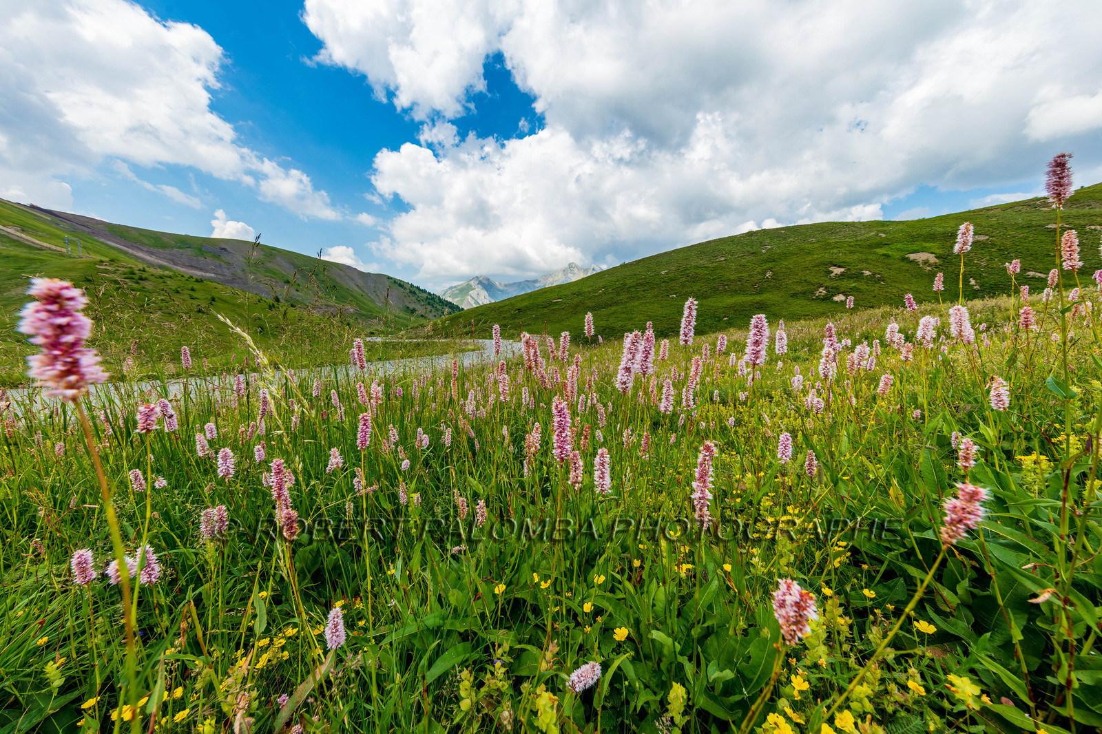 Col d'Allos