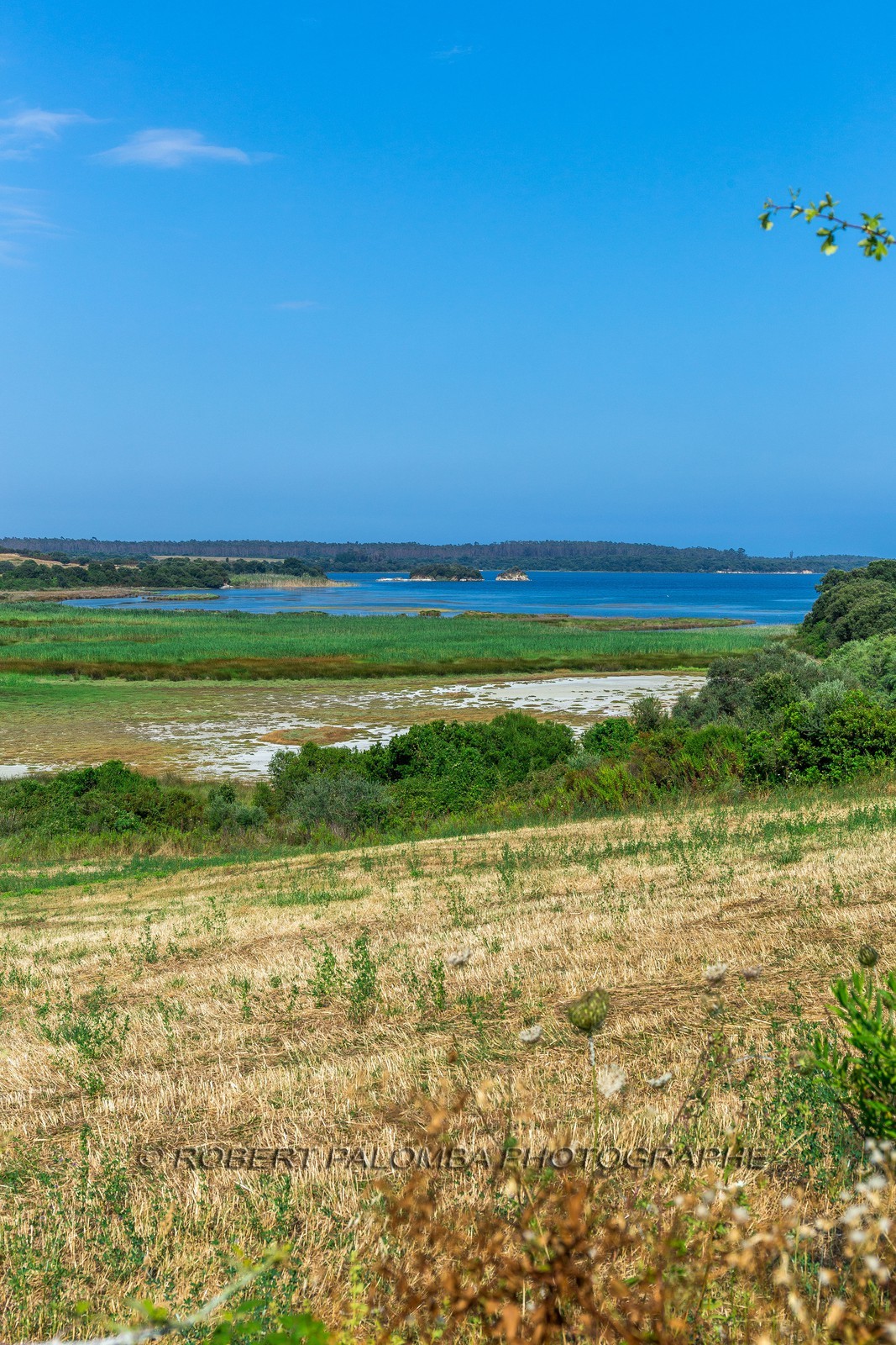 Etang d'Urbinu