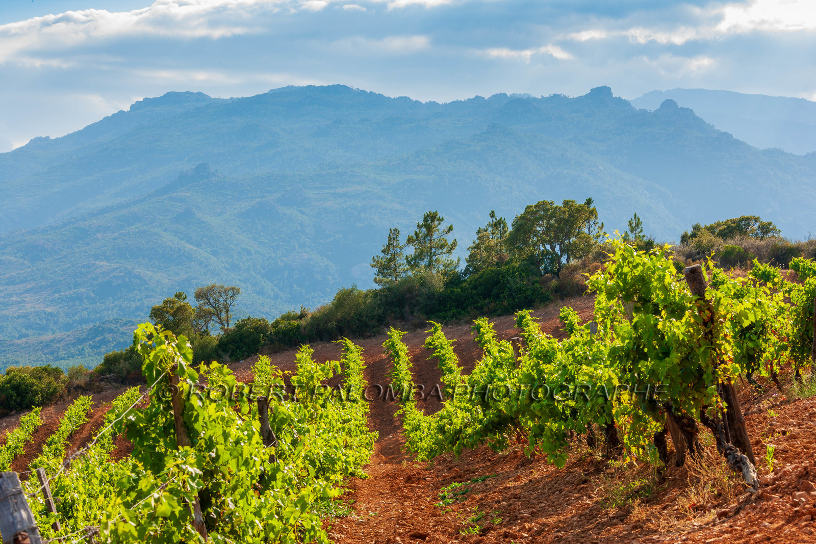 Domaine de Torracia