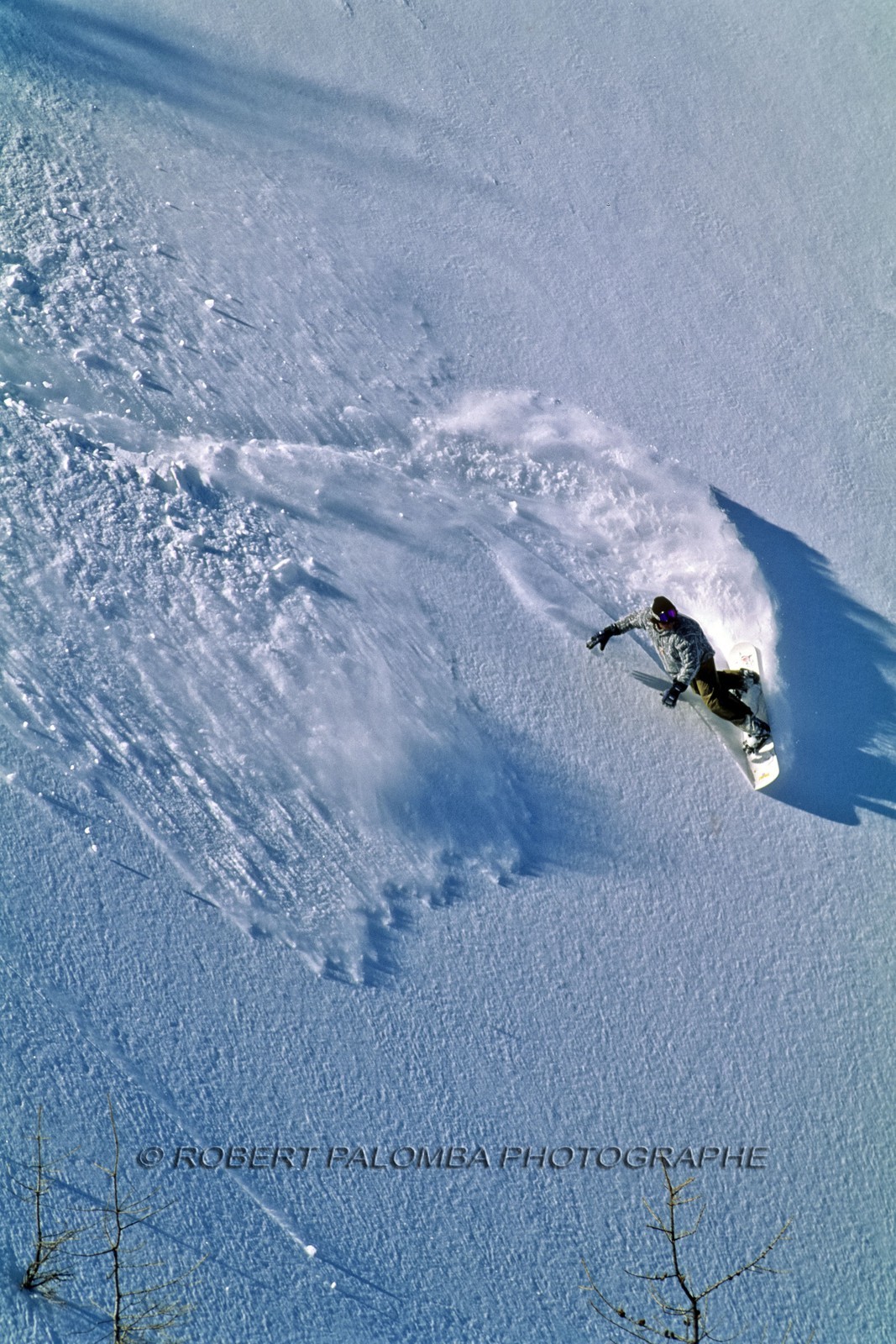 Snowboard