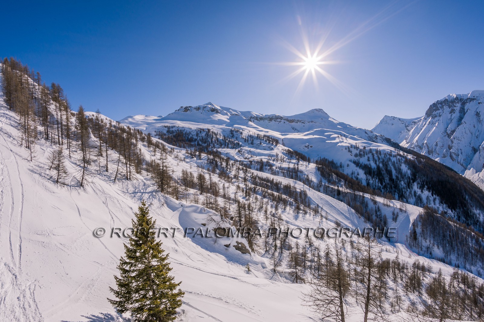 Auron