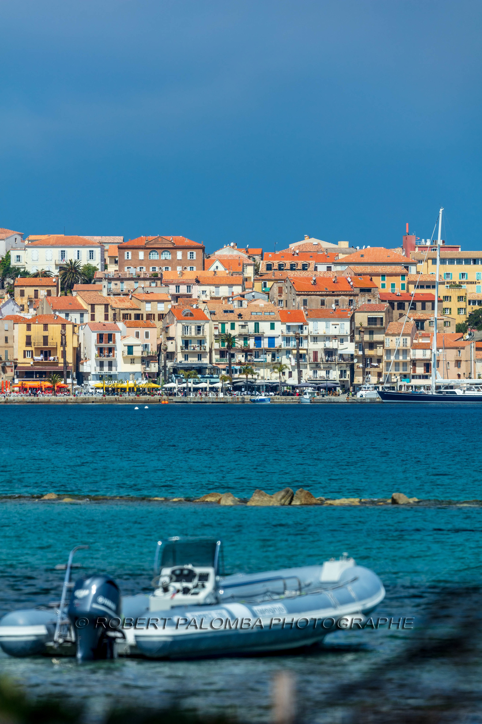 Calvi