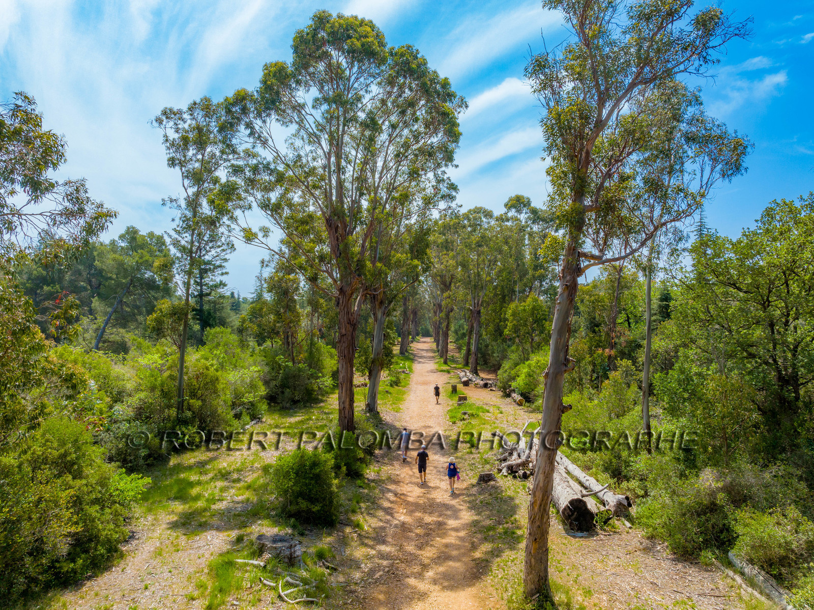 Lérins Sainte-Marguerite